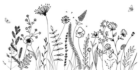 Download the Black silhouettes of grass, flowers and herbs isolated on white background. Hand drawn sketch flowers and insects. 2373063 royalty-free Vector from Vecteezy for your project and explore over a million other vectors, icons and clipart graphics! Wildflower Drawing, Grass Flowers, Doodle Images, Monochrome Prints, Meadow Flowers, Black Silhouette, Drawing Images, Flower Images, Abstract Flowers