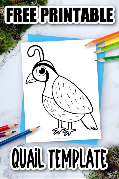 Birds Archives - Simple Mom Project Letter Q Crafts, Simple Mom Project, Bird Template, Church Youth, My Father's World, Painting Activities, Bird Crafts, Vacation Bible School, Paper Crafts For Kids