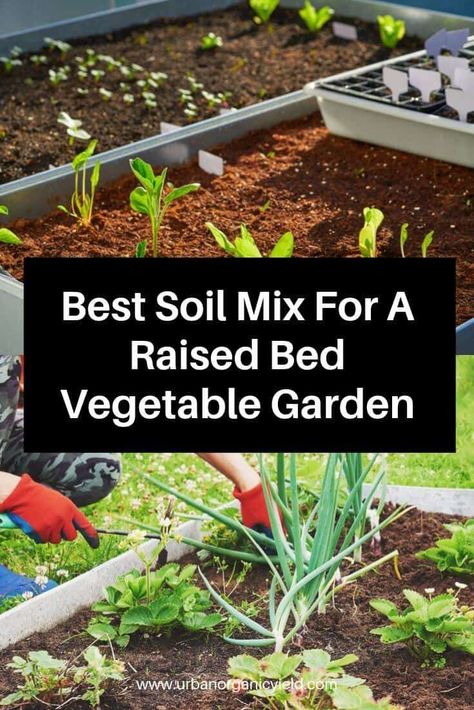 Garden Bed Soil, Raised Garden Bed Soil, Raised Bed Vegetable Garden, Vegetable Garden Soil, Garden Bed Ideas, Garden Raised Beds, Garden Beds Diy, Vegetable Beds Raised, Raised Vegetable Gardens