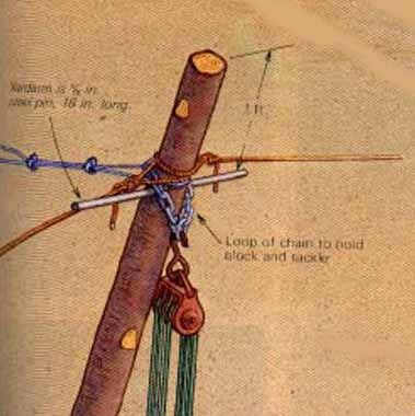 Understanding gin pole rigging in Timber Framing/Log construction Outdoor Patio Furniture Ideas, Timber Frame Plans, Timber Frame Joinery, Bushcraft Kit, Logging Industry, Barn Shop, Block And Tackle, Timber Frame Construction, Tree Felling