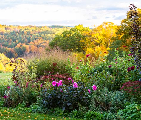 Power Players Vermont Garden, Honey Locust, Pond Landscaping, Natural Pond, British Garden, Fall Garden, Garden Pathway, Balloon Flowers, Garden Care