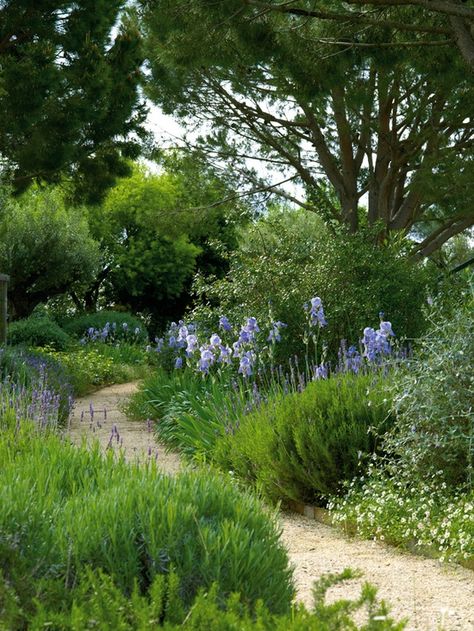 Shabby soul: Sunday garden - Stunning Path Mediterranean Backyard, Patina Farm, Garden Walls, Exquisite Gardens, Country Gardens, Stone Pathway, Cottage Gardens, Blue Garden, Mediterranean Garden