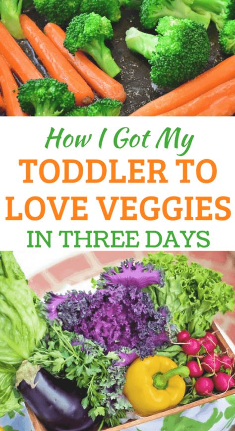 Toddler Wont Eat, Toddler Vegetables, Veggie Appetizers, Picky Toddler Meals, Hidden Vegetables, Eat Vegetables, Kids Vegetables, Mommy Things, Veggie Snacks