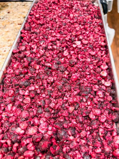 How to Freeze Dry Blueberries at Home Freeze Dried Blueberries Recipe, Freeze Drying At Home, Freeze Dried Food Ideas, Freeze Dryer Recipes, Mild Salsa Recipe, Freeze Dried Blueberries, Harvest Right Freeze Dryer, Best Freeze Dried Food, Saskatoon Berry