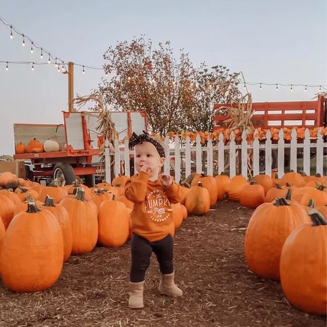 Dress your little one in adorable style for the pumpkin patch! This toddler outfit is perfect for the fall adventure. Featuring a cozy plaid shirt, comfy jeans, and cute boots, your child will be picture-perfect among the pumpkins. Capture precious memories and let the autumn fun begin! #ToddlerFashion #PumpkinPatchOutfit #FallAdventure #PlaidShirt #ComfyJeans #CuteBoots Pumpkin Patch Toddler Photoshoot, Toddler Pumpkin Patch Photos, Toddler Girl Pumpkin Patch Outfit, Toddler Pumpkin Patch Outfit, Outfits For Pumpkin Patch Fall, Baby Pumpkin Patch Outfit, Fall Pumpkin Patch Outfit, Pumpkin Patch Outfit Kids, Pumpkin Patch Kids