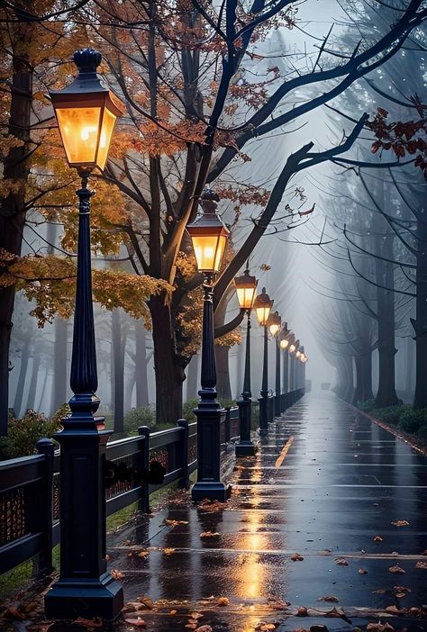 Autumn Nature Wallpaper, Rain Wallpapers, Landscape Photography Nature, Autumn Scenes, Beautiful Streets, Autumn Scenery, Beautiful Landscape Wallpaper, Fall Pictures, A Rainy Day