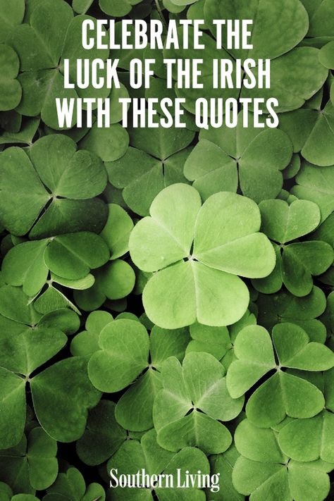 We collected funny St. Patrick’s Day quotes that best celebrate this spirited Irish holiday. Raise a glass of green beer and celebrate St. Paddy’s Day by sharing these joyful Irish quotes with others. #stpatricksdayquotes #irishquotes #southernliving St Patricks Day Humor Funny, When Irish Eyes Are Smiling, Short Irish Blessings, Saint Patricks Day Quotes Funny, Luck Of The Irish Quotes, St Patricks Day Meme Funny, St Patricks Day Quotes Inspiration, St Patrick’s Day Meme, Irish Sayings Quotes Proverbs