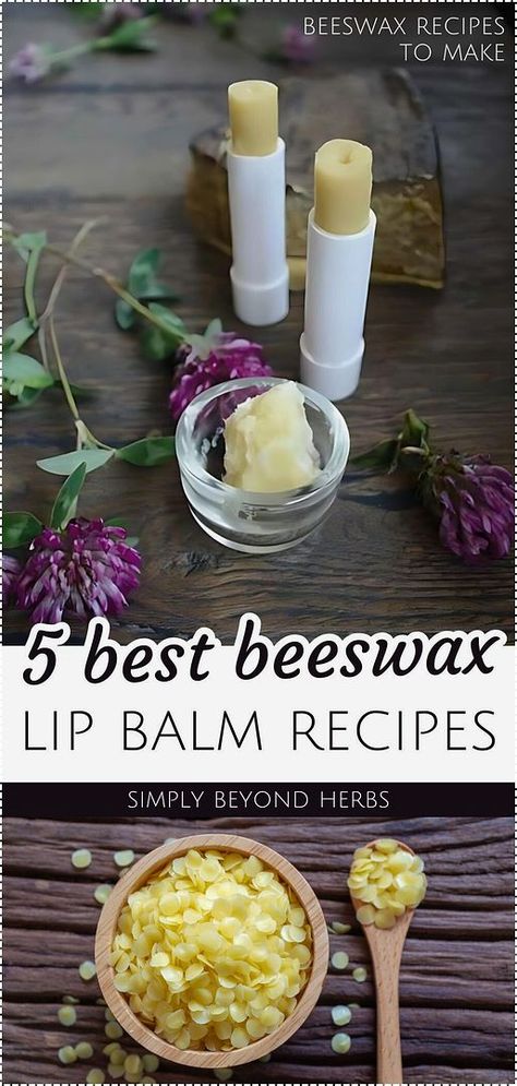 Discover Homemade Skin Care with 5 best beeswax lip balm recipes. Enhance your lip care routine with these versatile and nourishing homemade recipes. From cold sore relief to natural tint, these lip balms are made of natural ingredients and easy to customize. Learn how to create herb-infused oils, melt beeswax, and pour into lip balm tubes or sticks. Find more natural remedies, DIY beauty products, and DIY skin care at simplybeyondherbs.com. Easy Chapstick Recipes, How To Make Beeswax Lip Balm, Lip Balm With Beeswax Diy, Homemade Natural Lip Balm, Herbal Lip Balm Recipes, Homemade Lip Balm Recipe Easy, Beeswax Lip Balm Recipe Diy, Diy Lip Balm Recipes Easy, Lip Balm Diy Recipes