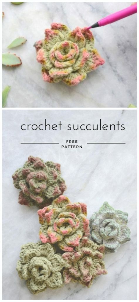 Succulent Plant Crochet Free Patterns - Crochet & Knitting Cactus En Crochet, Plant Crochet, Free Patterns Crochet, Crochet Succulent, Beau Crochet, Crochet Free Patterns, Crochet Flowers Easy, Crochet Mignon, Crochet Flowers Free Pattern