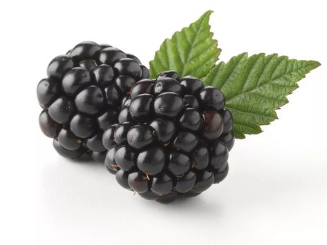 Black Raspberry vs. Blackberry: What's the Difference? Raspberry Extract, Nutrition Classes, Nutrition Store, Blackberry Cobbler, Whats In Season, Black Raspberry Vanilla, Vanilla Fragrance, Black Raspberry, Fast Track