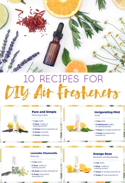 diy air fresheners | diy crafts | home tips | air freshener recipe | home hacks | hygge Air Freshener Recipes, Homemade Air Freshener, Diy Crafts Home, Diy Air Freshener, Home Air Fresheners, Home Tips, House Smell, Essential Oils Rosemary, Smell Fresh