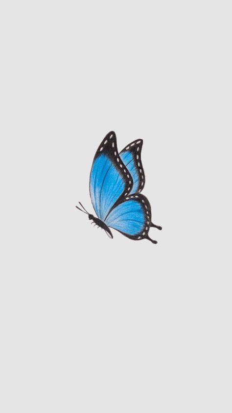 Butterfly 🤭🤭 #pdp#idea Butterfly Profile Picture Aesthetic, Butterfly Profile Picture, Blue Aesthetic Butterfly, Butterfly Widget, Blue Butterfly Aesthetic Icon, Butterfly Profile, Blue Butterfly Background Aesthetic, Soft Blue Aesthetic Butterfly, Blue Butterfly Aesthetic Dark