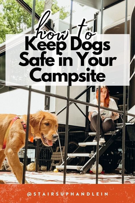 Here's how we keep our dogs safe in our campsite, when we RV with dogs. As full-time RVers, we have been living in an RV for over 3 years with our dogs. Our dogs who travel with us need to be kept safe, so we invested in a fence for our campsites to help. Rv Dog Fence, Rv Camping With Dogs, Dog Boutique Ideas, Camper Storage Ideas Travel Trailers, Rv Dog, Rv Pet, Safety On The Road, Camping With Dogs, Living In An Rv