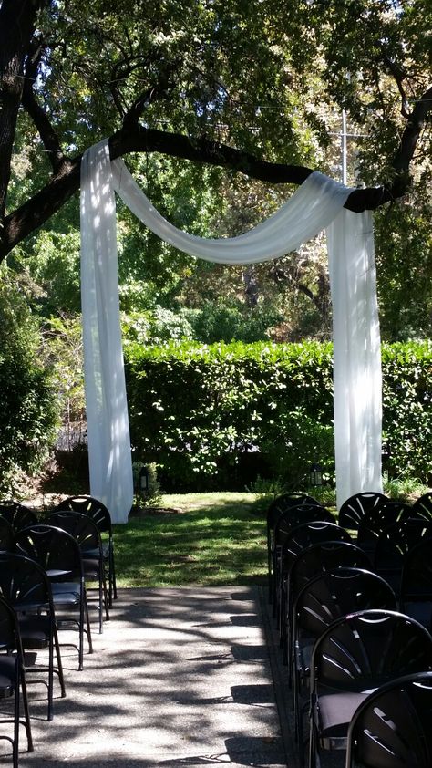 Kate and Luke's garden wedding tree drape. . . 9/17/2016 Wedding Tree Backdrop, Fabric Hanging From Trees Wedding, Wedding Under Trees, Wedding Draping, Wedding Tree, Small Party, Fabric Tree, Champagne Tower, Wedding Ceremony Backdrop