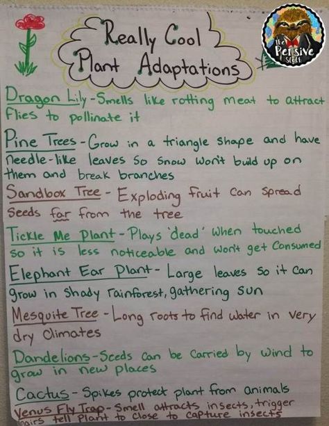 Plant Adaptations Anchor Chart from The Pensive Sloth for 5th Grade STAAR Life Science Plant Adaptations Anchor Chart, Adaptations Anchor Chart, Elementary Science Teacher, Plant Adaptations, Grade 3 Science, Fourth Grade Science, Science Anchor Charts, 7th Grade Science, Third Grade Science