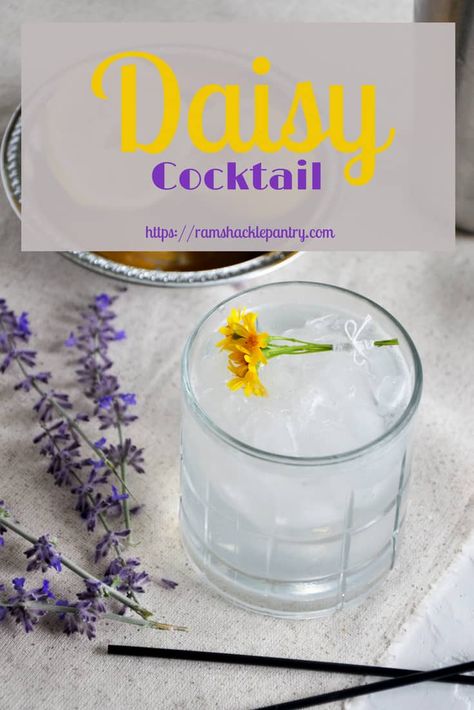 Well, ain't that a Daisy? It sure is! This classic cocktail the Rum Daisy Cocktail is a simple treat that may have been the origin of the margarita! Learn about this origin story and also get the recipe for this elegant and tasty drink! #rum #daisy #cocktail #margarita via @ramshacklepantr Daisy Cocktail, Well Drinks, Drink Rum, Rum Drinks Recipes, Cocktail Margarita, Rum Recipes, Classic Martini, Classic Cocktail Recipes, Colorful Cocktails