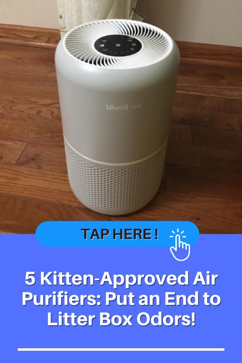 best air purifier for cat litter How To Get Rid Of Cat Litter Box Smell, Cat Litter Smell Get Rid Of, Litter Box Odor Control, Odor Eliminator Diy, Cat Litter Smell, Litter Box Smell, Pretty Litter, Cat Pee Smell, Best Litter Box