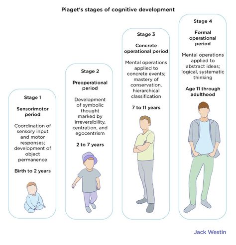 Piaget Stages Of Development, Piaget Theory, Child Development Stages, Object Permanence, Stages Of Development, Student Tips, Nursing Student Tips, Jean Piaget, Research Writing