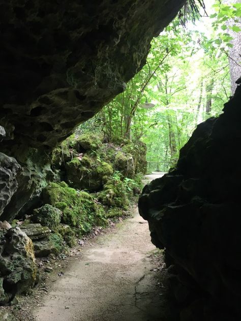 Florida Caverns State Park. Only dry cave system in state open to public. Florida Caverns, Florida Caverns State Park, Conservation Corps, Cave System, Civilian Conservation Corps, Florida State Parks, Sea Floor, Florida Springs, Cave Diving