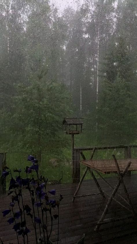 Relaxing Rain Sounds, Rainy Day Aesthetic, I Love Rain, Rain Sounds, Image Nature, Dark Nature Aesthetic, Forest Pictures, Rain Garden, Beautiful Views Video