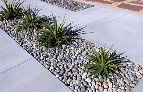 Agave Landscape, White Pebble Garden, Pebble Landscaping, Pebble Garden, Tattoo Plant, River Rock Landscaping, Stone Landscaping, Front Garden Landscape, Rock Landscaping