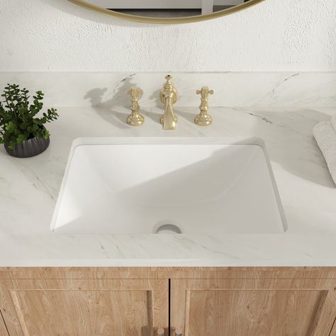 DeerValley Ursa 18" X 13" Rectangular Vitreous China Undermount Bathroom Sink with Overflow Rectangular Bathroom Sink, Rectangular Sink Bathroom, Rectangular Bathroom, Sleek Bathroom, Undermount Bathroom Sink, Vessel Sinks, Plant Lighting, Bedroom Furniture For Sale, Mirrors For Sale