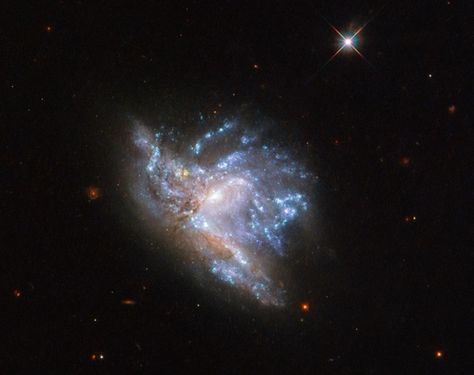 Hercules Constellation, Galaxy Collision, Hubble Photos, Hubble Space Telescope Images, Nasa Goddard, Nasa Hubble, Galaxy Images, Hubble Images, Hubble Telescope