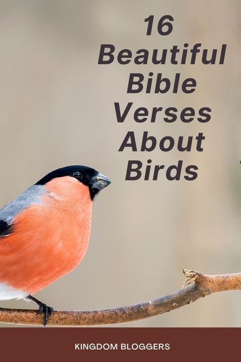 Bible Verses about birds continue to remind us how God will ALWAYS take care of us even more so than His creations. While the bird sings praises each and every morning, so should God’s children. Scriptures About Birds, Bible Verse Birds, Bible Verse About Sparrows, Consider The Birds Scripture, Bird Bible Verse Tattoo, Verses About Praising God, Birds Singing Quotes, Bible Verse About Birds, Bird Bible Verse