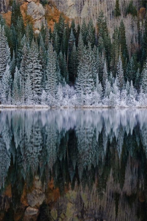 Winters Tafereel, Charcoal Drawings, Amazing Views, Peaceful Places, Holiday Magic, Snow Scenes, Rocky Mountain National, Rocky Mountain National Park, Fotografi Potret