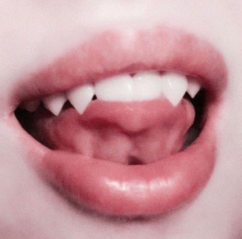 Draculaura Aesthetic, Teeth Aesthetic, Vampire Fangs, Vampire Teeth, Catty Noir, Vampire Girls, Monster High Characters, White Teeth, Body Mods