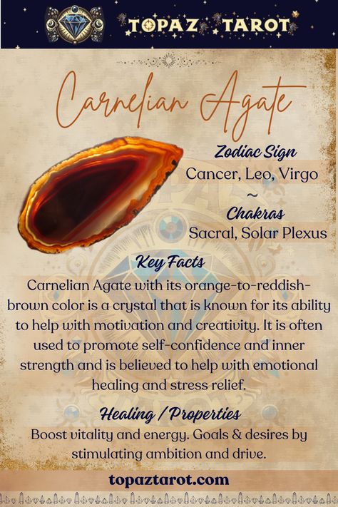 Embrace the fiery energy of Carnelian Agate 🔥 Ignite your passion, boost creativity, and radiate confidence with this vibrant crystal by your side. #thetopaztarot #topaztarotcrystals #crystals #CarnelianAgate #crystalhealing #crystalLove #crystalwonders #crystalenergy Carnelian Agate Meaning, Red Agate Crystal Meaning, Agate Crystal Meaning, Crystal Magick, Agate Meaning, Radiate Confidence, Carnelian Agate, Red Carnelian, Spiritual Crystals