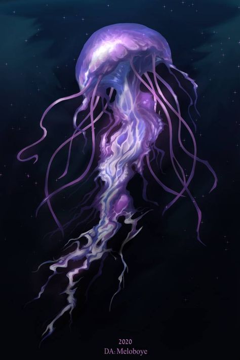 Violet Stun Gun by Meloboye on DeviantArt Jellyfish Desktop, Cute Ipad Wallpaper, Giant Jellyfish, Wallpapers For Ipad, Rocky Coastline, Sea Jellies, Jellyfish Painting, Jellyfish Tattoo, Underwater Painting