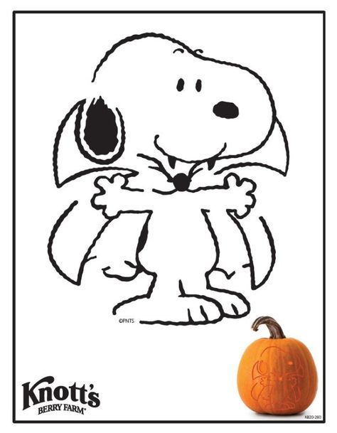 Knott's Pumpkin Carving Stencils  - Knott's Berry Farm Snoopy Stencil Pumpkin, Snoopy Pumpkin Template, Pumpkin Carving Ideas Garfield, Aesthetic Pumpkin Carving Stencil, Peanuts Pumpkin Carving Templates, Pumpkin Carving Ideas Charlie Brown, Studio Ghibli Pumpkin Carving Stencil, Snoopy Carved Pumpkin, Snoopy Pumpkin Carving Stencil