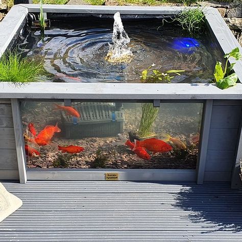 Aquariums | Garden Aquarium Yard Pond, Fish Ponds Backyard, Garden Aquarium, Raised Pond, Pond Decorations, Aquarium Garden, Fish Pond Gardens, Kolam Koi, Garden Pond Design