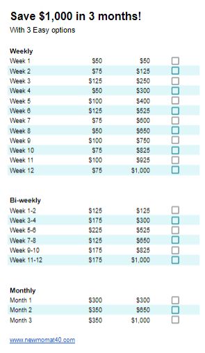 Vacation Savings Plan Biweekly, Save Money For Vacation, Budgeting Goals, Travel Savings Plan, Monthly Savings Plan, Vacation Savings Plan, Monthly Savings Challenge, Travel Budget Planner, Financial Budget Planner