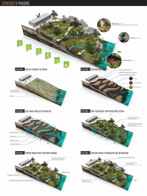 Landscape Diagram, Landscape Architecture Diagram, Landscape Architecture Graphics, Gambar Lanskap, Landscaping A Slope, Landscape Architecture Plan, Landscape Architecture Drawing, Urban Landscape Design, Architecture Presentation Board