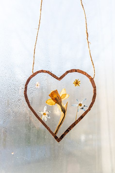 How To Make A Pressed Flower Sun Catcher - Live Lovely Photography Pressed Flower Suncatcher, Flower Sun Catcher, Make Your Own Stencils, Flower Suncatcher, Secret Garden Parties, Sharpie Pens, Sharpie Markers, Clear Glue, Adult Crafts