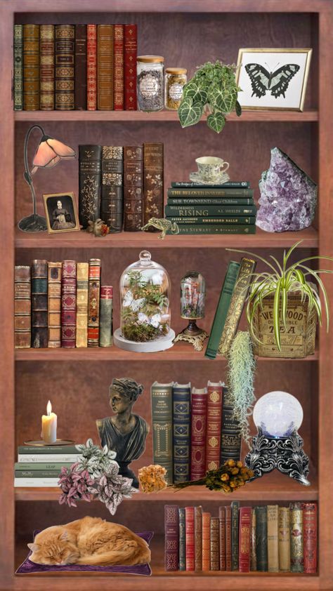 A witch’s bookshelf #witch #witchy #witchaesthetic #apothecary #thrifted #antiques Bookshelves Antique, Thrifted Antiques, Witch Bookshelf, Witchy Bookshelf, Apothecary Inspiration, Bookshelf Art, Room Dark, W.i.t.c.h Aesthetic, A Witch