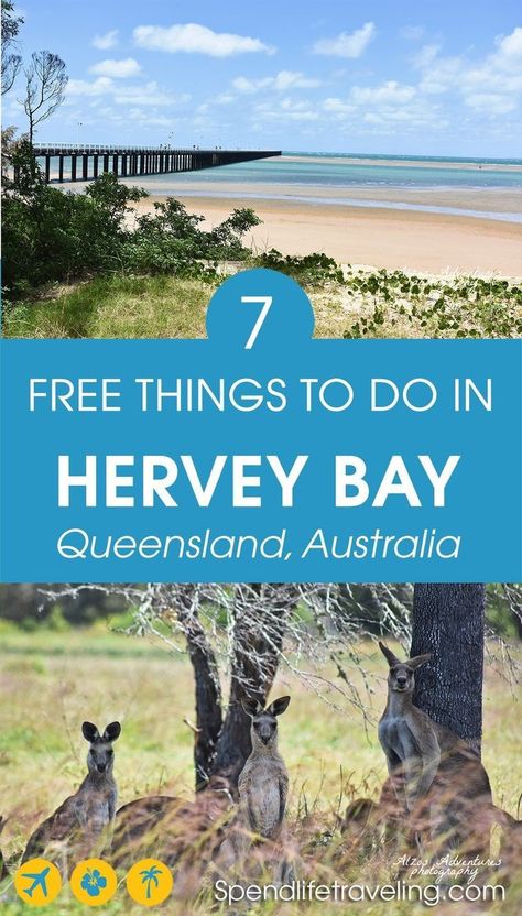 Traveling on a budget? These are some great free things to do in Hervey Bay, Queensland, Australia. #HerveyBay #visitQueensland #travelQueensland Hervey Bay Australia, Holidays Abroad, Nz Travel, Australia Itinerary, Australia Tourism, Australia Vacation, Abroad Travel, Hervey Bay, Australia Travel Guide