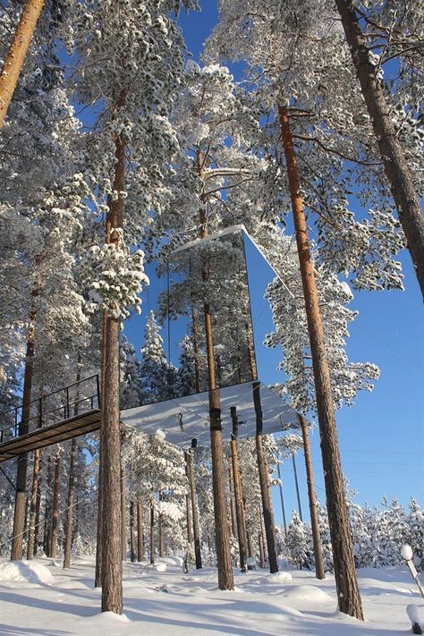 Vacation in a Tree House - A current architectual trend for design lovers. Finding peace in the forest, alternative to loud hotels House Of Mirrors, Luxury Tree Houses, Treehouse Hotel, Tree House Diy, Cool Tree Houses, Unique Vacations, Tree House Designs, Mirror House, Samar