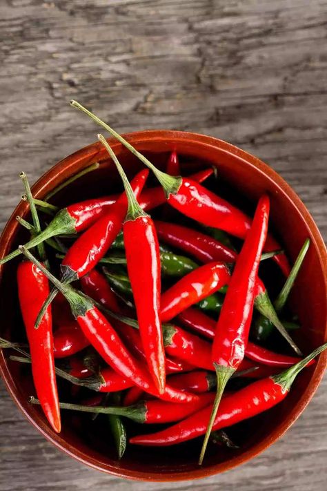 Where to Buy Chili Seeds - Chili Pepper Madness Chili Pepper Plant, Types Of Chili Peppers, Creative Breakfast, Chile Peppers, Popular Appetizers, Thai Chili, Chile Pepper, Hottest Chili Pepper, Spicy Chili