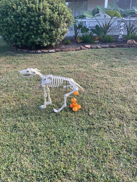 Ultra Posable Halloween Skeletons - Wild ones!! | Facebook Skeleton Decorations Outdoor Funny, Skeleton Decorations Outdoor, Skeleton Poses, Halloween Comics, Celtic Festival, Halloween Outside, Arte Grunge, Creepy Halloween Decorations, Skeleton Decorations