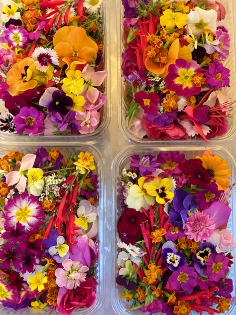 Edible Flowers Garden, Edible Flower Garden Design, Erin French, Eatable Flowers, Flower Party Themes, Edible Flower Garden, Flowers And Food, Botanical Kitchen, Entertaining Appetizers