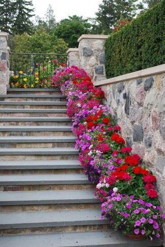 Amazing Flower Pot Displays on Stairs - Paige's Party Ideas Cerca Natural, Diy Flower Pots, Outdoor Flowers, Stone Walls, Garden Containers, Floral Ideas, Junk Drawer, Garden Paths, Petunias