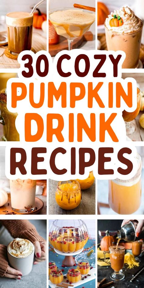 30 cozy homemade fall pumpkin drink recipes to make at home Pumpkin Spice Drink Aesthetic, Warm Pumpkin Drinks, Pumpkin Spice Drink Recipe, Pumpkin Recipes Drinks, Pumpkin Spice Cold Brew Recipe, Fall Pumpkin Drinks, Pumpkin Spice Chai Latte Starbucks, Fall Hot Drink Recipes, Homemade Fall Drinks