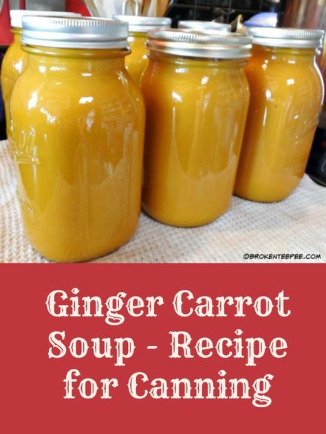 Preserving Carrots, How To Freeze Carrots, Recipes To Freeze, Freezing Carrots, Canning Carrots, Carrot Harvest, Canning Soup Recipes, Carrot Ginger Soup Recipe, Canned Carrots