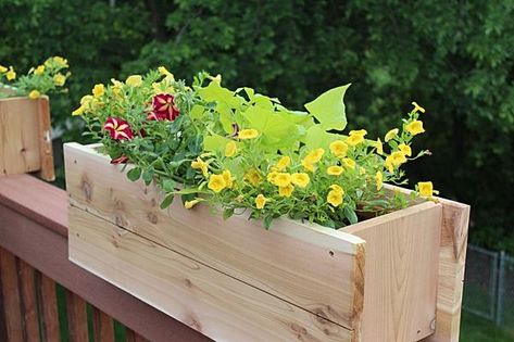 Deck Rail Planters, Diy Railing, Rail Planters, Deck Railing Planters, Whiskey Barrel Planter, Diy Cement Planters, Build A Deck, Plastic Bottle Planter, Wheelbarrow Planter