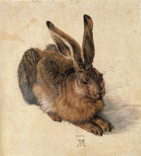 Albrecht Dürer ‘A Young Hare’ 1502 | by Plum leaves Albert Dürer, Charlotte Mason Picture Study, Hare Painting, White Gouache, Jan Van Eyck, Musee Carnavalet, Rabbit Painting, Kunsthistorisches Museum, Iconic Artwork