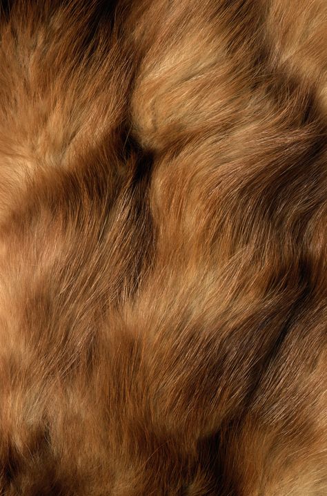 Soft. Musky. Just stick your face in it, he likes it. Fur Aesthetic, Texture Aesthetic, Fur Background, Fur Texture, Animal Fur, Free Textures, Brown Fur, Background Background, Textured Artwork