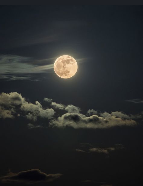 Night Sky Moon, Moon Lover, Paid Promotion, Love Moon, The Moon Is Beautiful, Look At The Moon, Your Wallpaper, Sky Moon, Moon Pictures